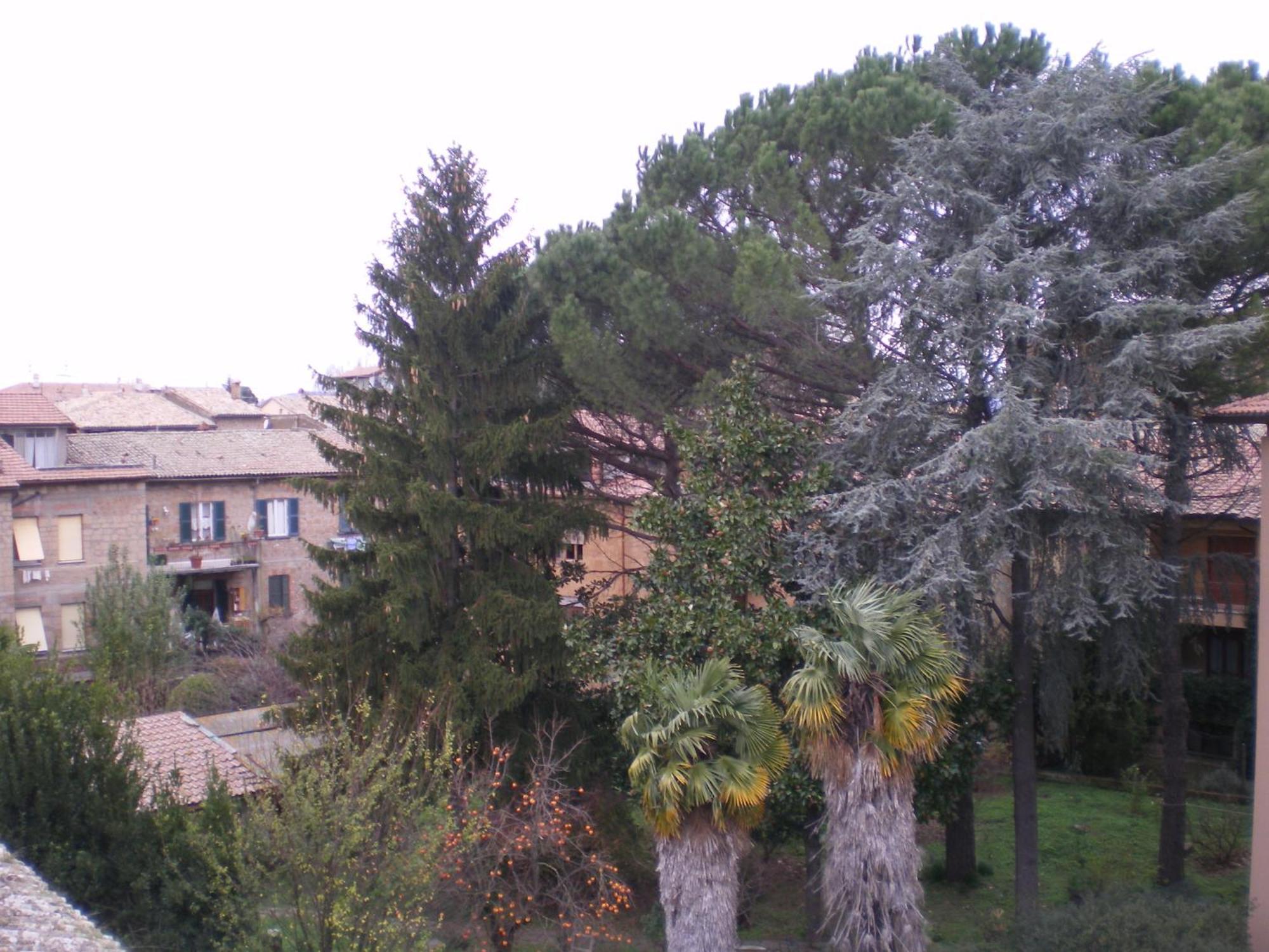 Hotel Valentino Centro Storico Orvieto Exteriör bild